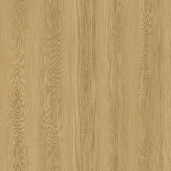 EVOLUTION RISE  - CORVI -  Mat