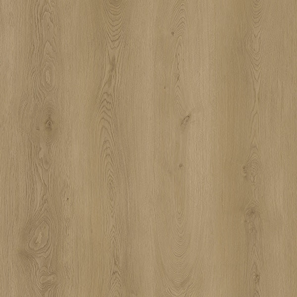 EVOLUTION RISE  - LYRA -  Mat