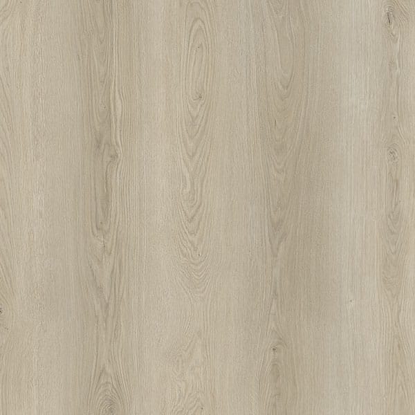 EVOLUTION RISE  - PERSEI -  Mat