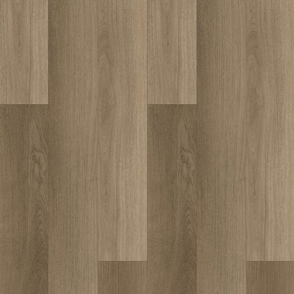 EVOLUTION RISE  - COMPASS -  Mat