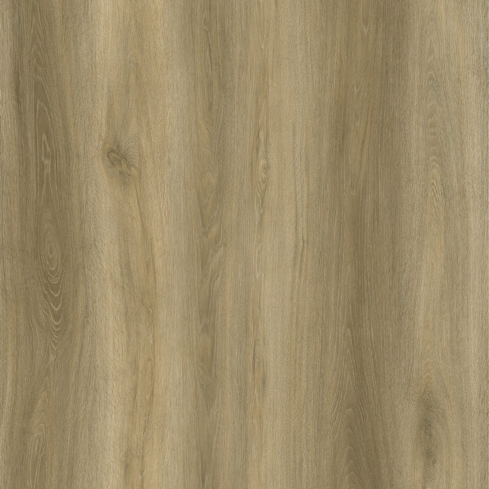 EVOLUTION ORIGIN  - WHEAT -  Mat