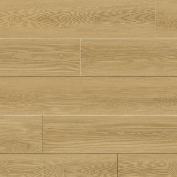 EVOLUTION MAGMA  - YASUR -  Mat