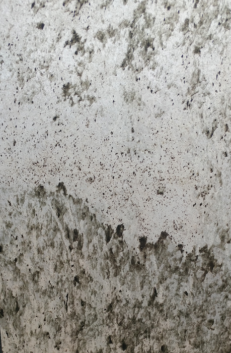 LAMSTONE BOSTON TRANSLUCIDE 40X80 - 21.53 PI2