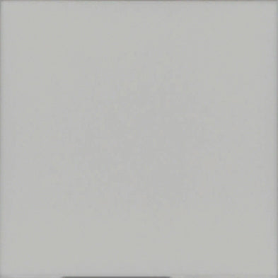 Pigmento Bianco -  Mat