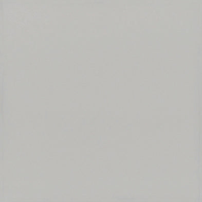 Pigmento Grigio -  Mat