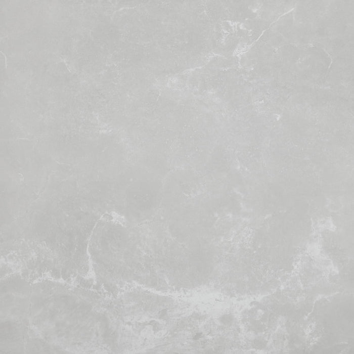 STARDUST MOON 12X24 MATTE